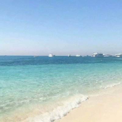 开云网kaiyun下载手机版