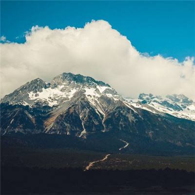 365体育官方唯一入口下载手机版