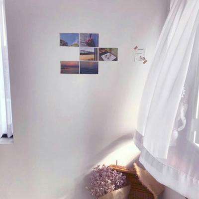 半岛官方APP入口下载手机版