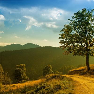 威尼斯游戏网站官网